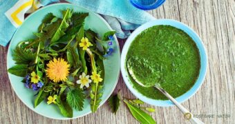 Löwenzahnsuppe ist wahrer Booster für dein Wohlbefinden und ideal geeignet für eine Frühjahrskur. Sie lässt sich einfach zubereiten.