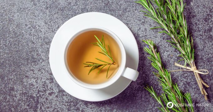 Rosmarintee ist ein natürliches, belebendes Heilmittel. Ob zur geistigen Frische am Morgen oder zur Unterstützung der Verdauung.