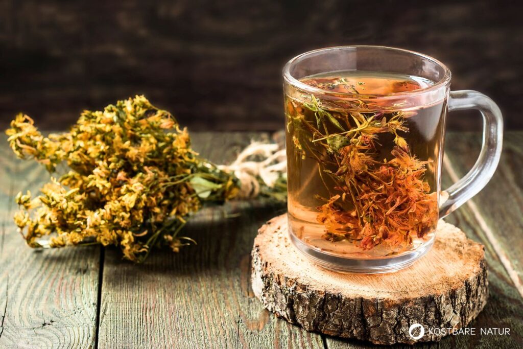 Das gelb blühende Johanniskraut ist einer der besten Speicher der Sonnenenergie. Sammle es im Sommer und nutze es im Winter, um die dunklen Tage aufzuhellen.