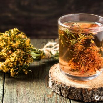 Das gelb blühende Johanniskraut ist einer der besten Speicher der Sonnenenergie. Sammle es im Sommer und nutze es im Winter, um die dunklen Tage aufzuhellen.