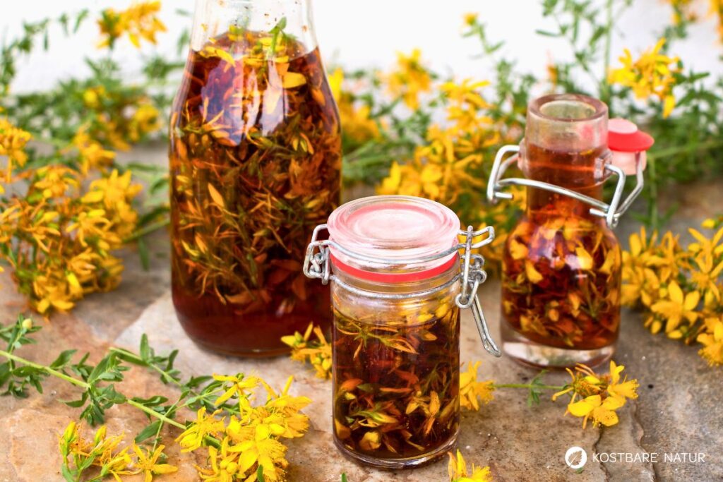 Das gelb blühende Johanniskraut ist einer der besten Speicher der Sonnenenergie. Sammle es im Sommer und nutze es im Winter, um die dunklen Tage aufzuhellen.