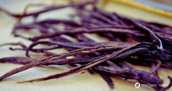 Entdecke die Welt der Vanille: Herkunft, spannende Mythen, heilenden Wirkungen und vielfältige Anwendungen in Küche und Kosmetik.