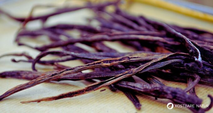 Entdecke die Welt der Vanille: Herkunft, spannende Mythen, heilenden Wirkungen und vielfältige Anwendungen in Küche und Kosmetik.