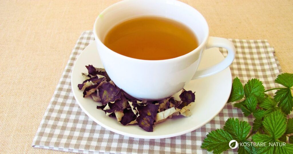 Brombeerblättertee lässt sich kostenlos und regional zubereiten und wirkt wohltuend bei einer Vielzahl an Beschwerden.