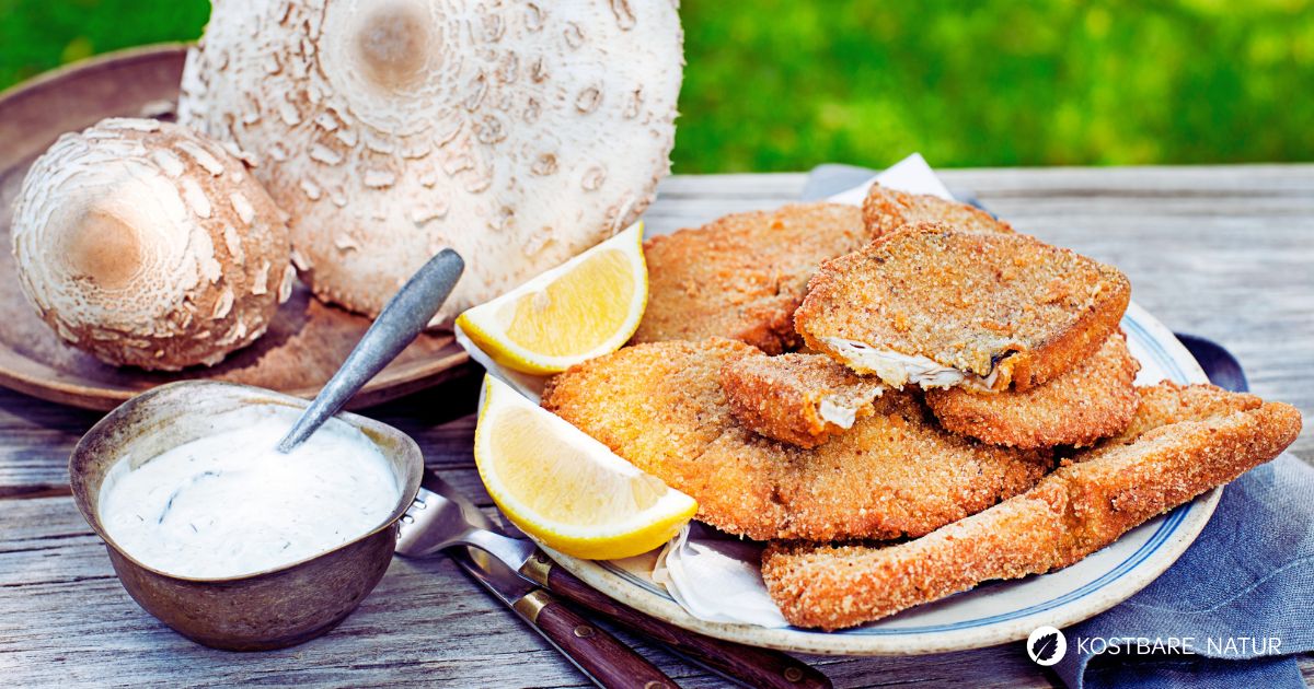 Parasol-Schnitzel ist ein echter Klassiker unter den Pilzgerichten! Es lässt sich einfach zubereiten, ist wunderbar knusprig und innen besonders saftig.