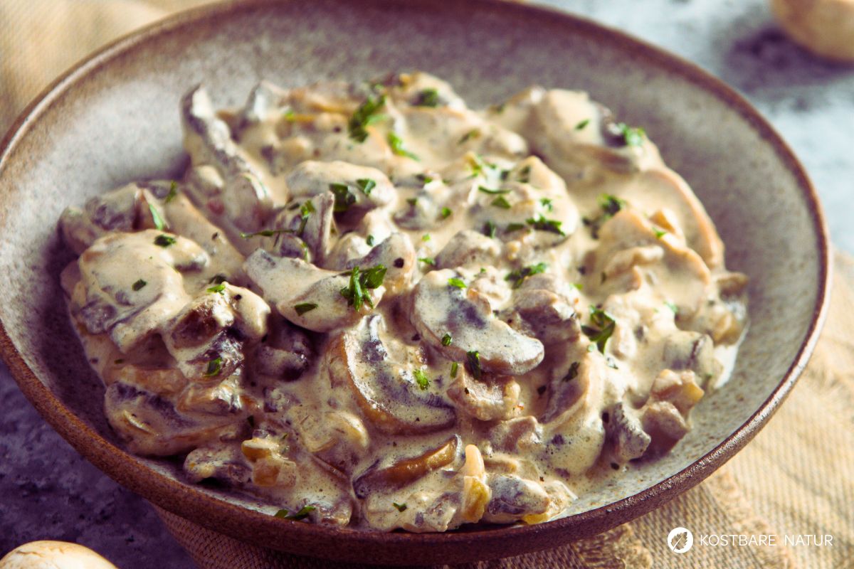 Pilzragout Rezept