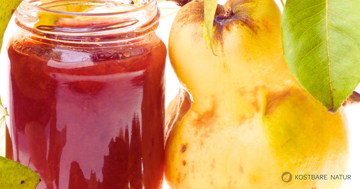 Quittengelee: einfaches Rezept mit vollem Aroma - Kostbare Natur Quittengelee: einfaches Rezept mit vollem Aroma - Kostbare Natur