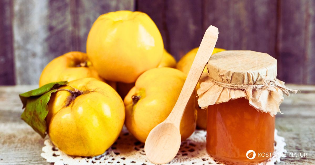 Rezept für fruchtige Quittenmarmelade – so einfach gelingt sie ... Rezept für fruchtige Quittenmarmelade – so einfach gelingt sie ...