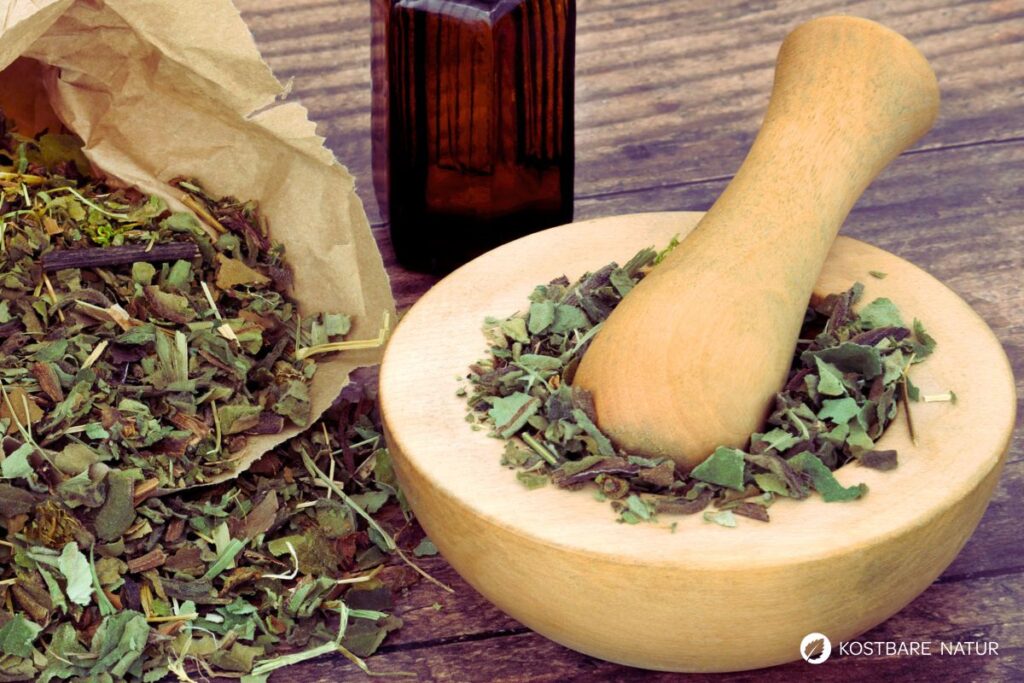 Kräuter im Mörser