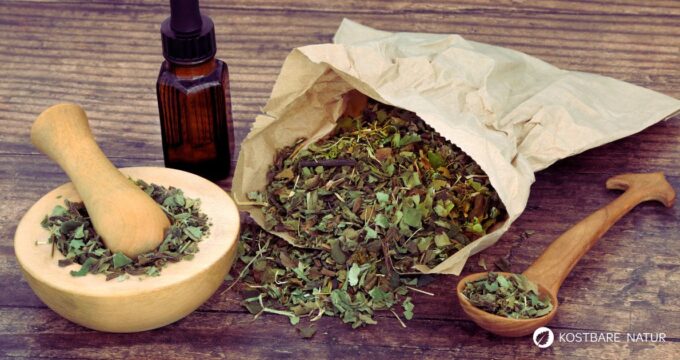 Bitterkräuter-Pulver stärkt Verdauung und Leber, ist einfach herzustellen und macht Wildkräuter lange haltbar, ideal für deinen Alltag.