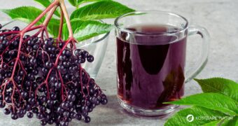 Selbst gemachter Holundersaft aus regionalen Beeren stärkt im Winter das Immunsystem und lässt sich pur, als Schorle oder in Smoothies genießen.