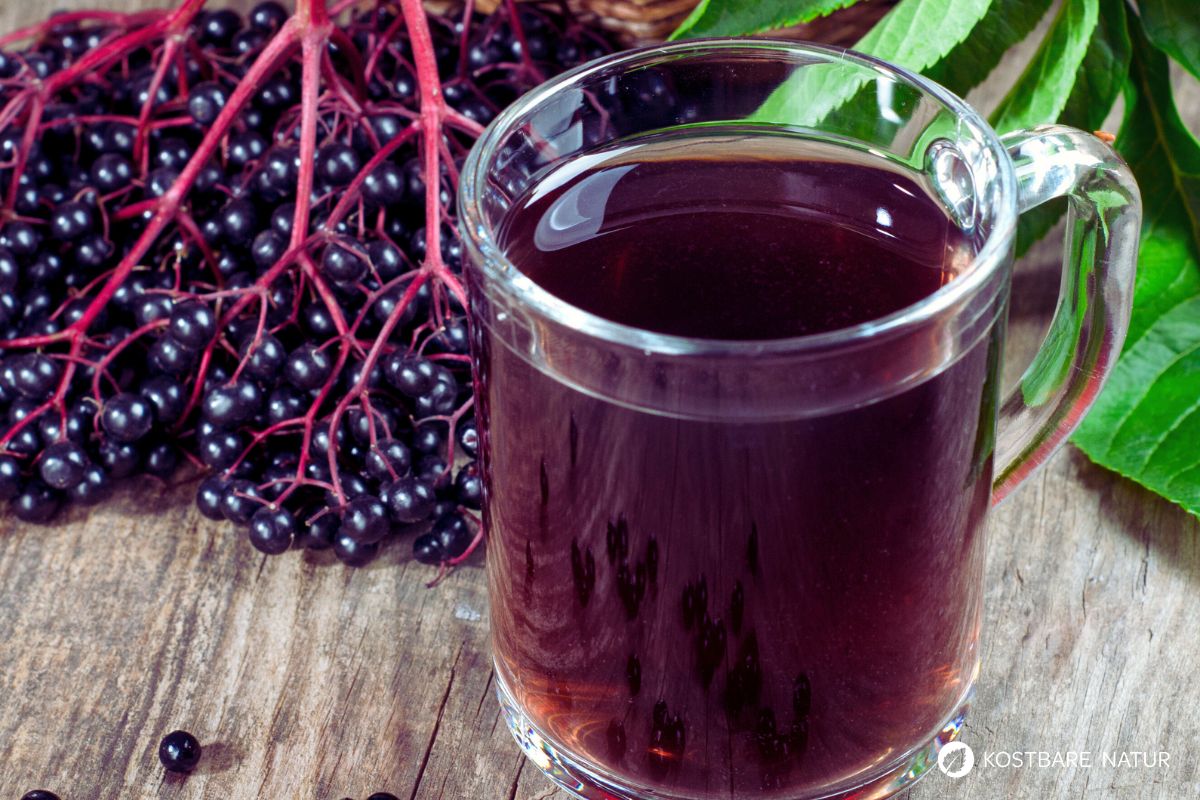 Holundersaft selber machen: Vitaminreiche Stärkung für den Winter ... Holundersaft selber machen: Vitaminreiche Stärkung für den Winter ...