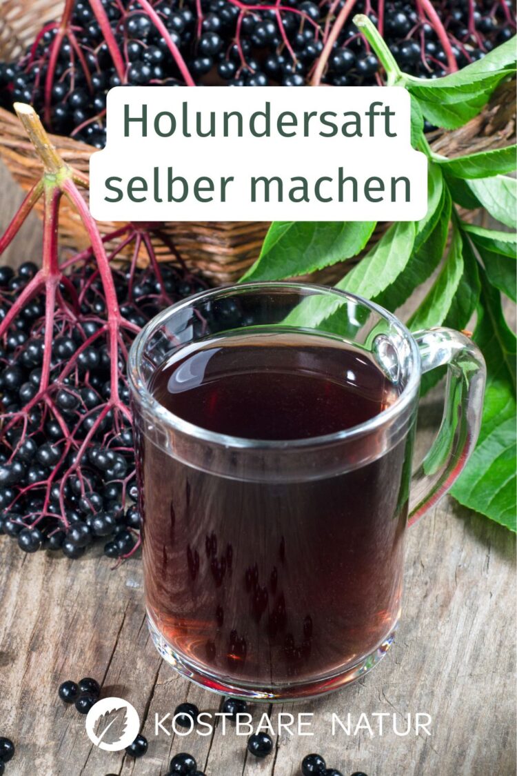 Holunder Blten Tee Selber Machen