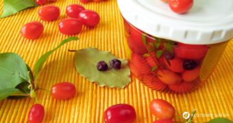 Kornelkirschen wie Oliven einlegen – ein wildes Fermentationsrezept für alle, die regionale Früchte kreativ verwerten möchten.