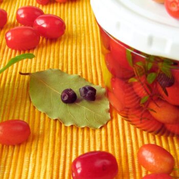 Kornelkirschen wie Oliven einlegen – ein wildes Fermentationsrezept für alle, die regionale Früchte kreativ verwerten möchten.