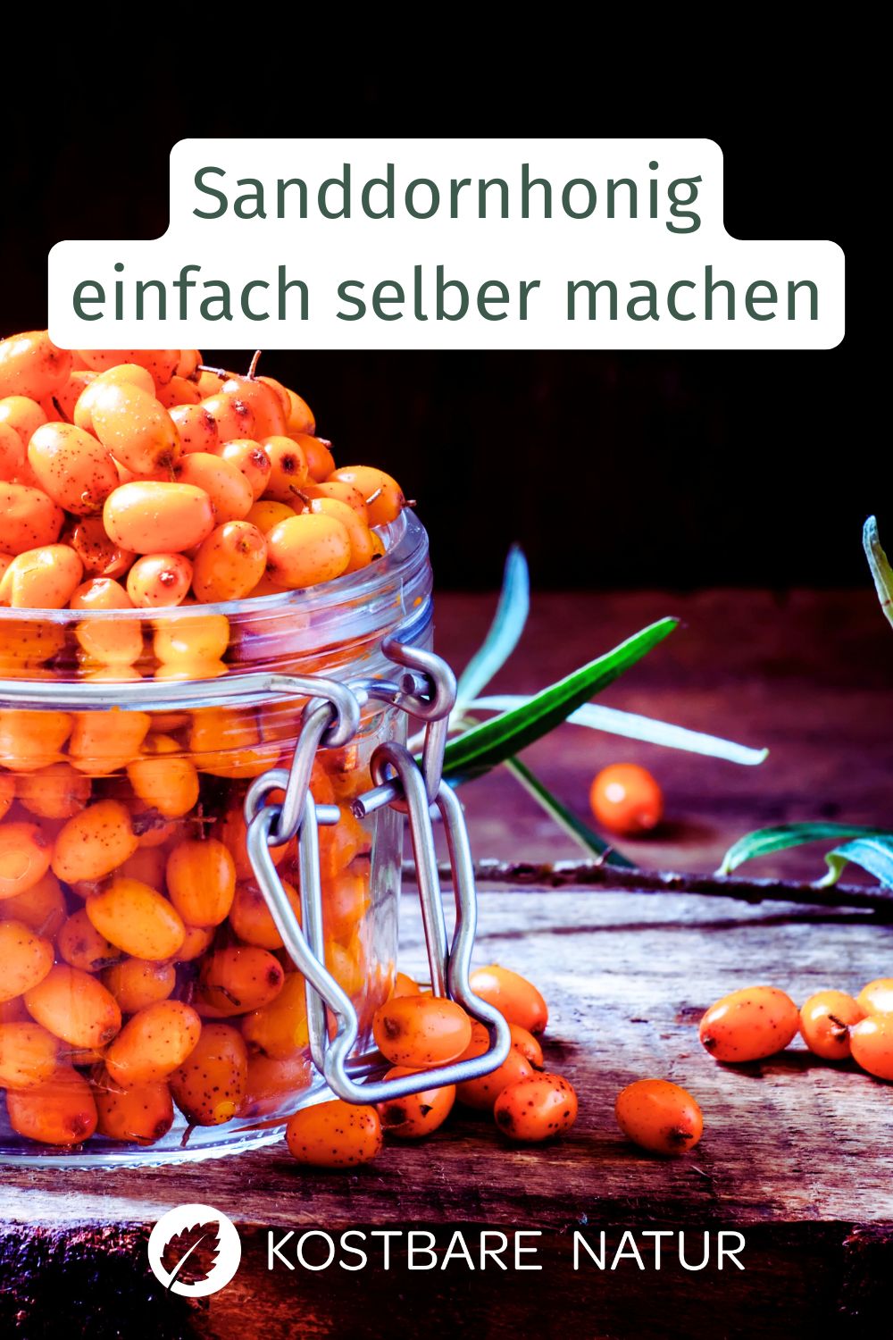 Sanddornhonig selber machen – entdecke ein einfaches Rezept mit frischen Sanddornbeeren und Honig. Fruchtig, gesund und perfekt für Herbst und Winter.