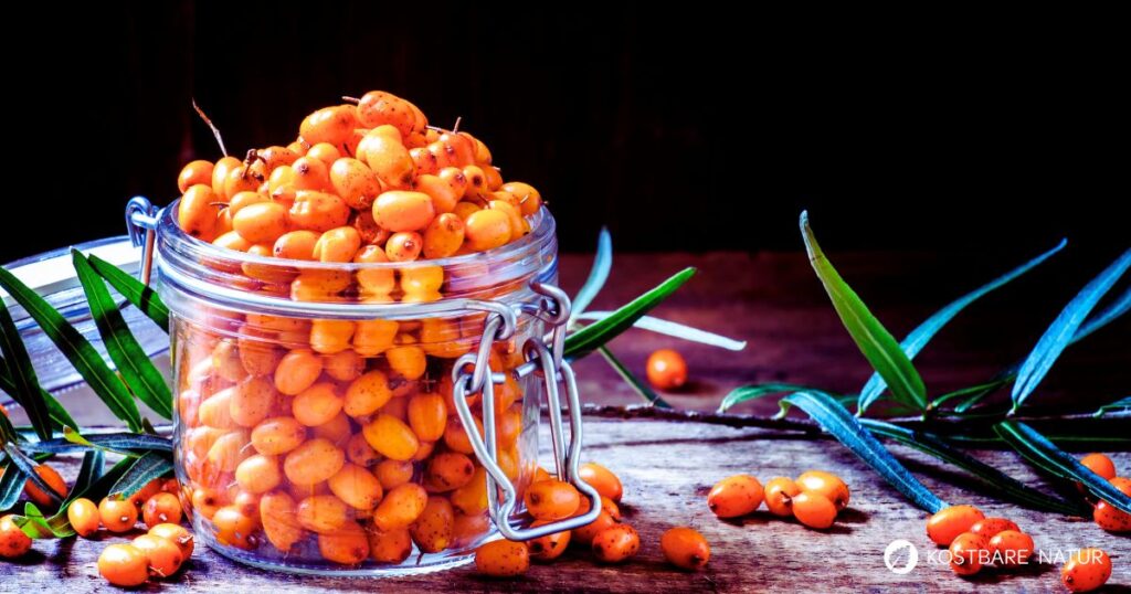 Sanddornhonig selber machen – entdecke ein einfaches Rezept mit frischen Sanddornbeeren und Honig. Fruchtig, gesund und perfekt für Herbst und Winter.