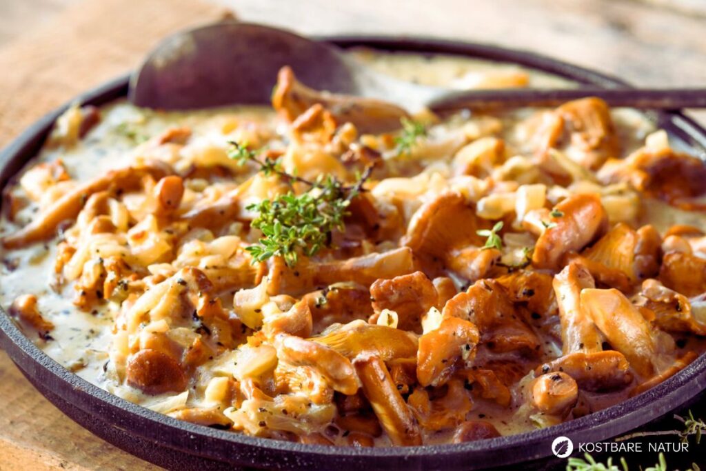 Eierschwammerlsauce in Pfanne