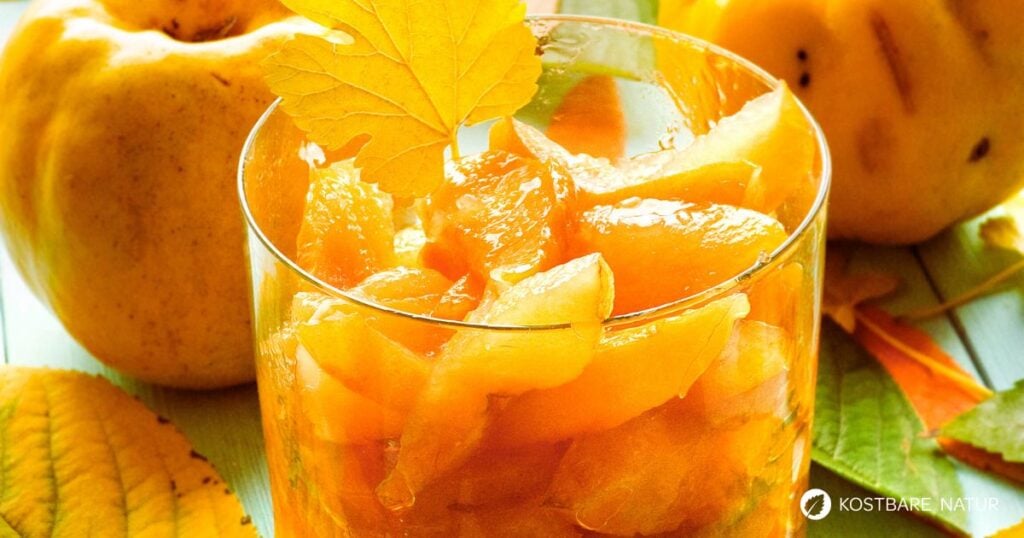 Aromatisches Quittenkompott aus regionalen Früchten - Kostbare Natur Aromatisches Quittenkompott aus regionalen Früchten - Kostbare Natur