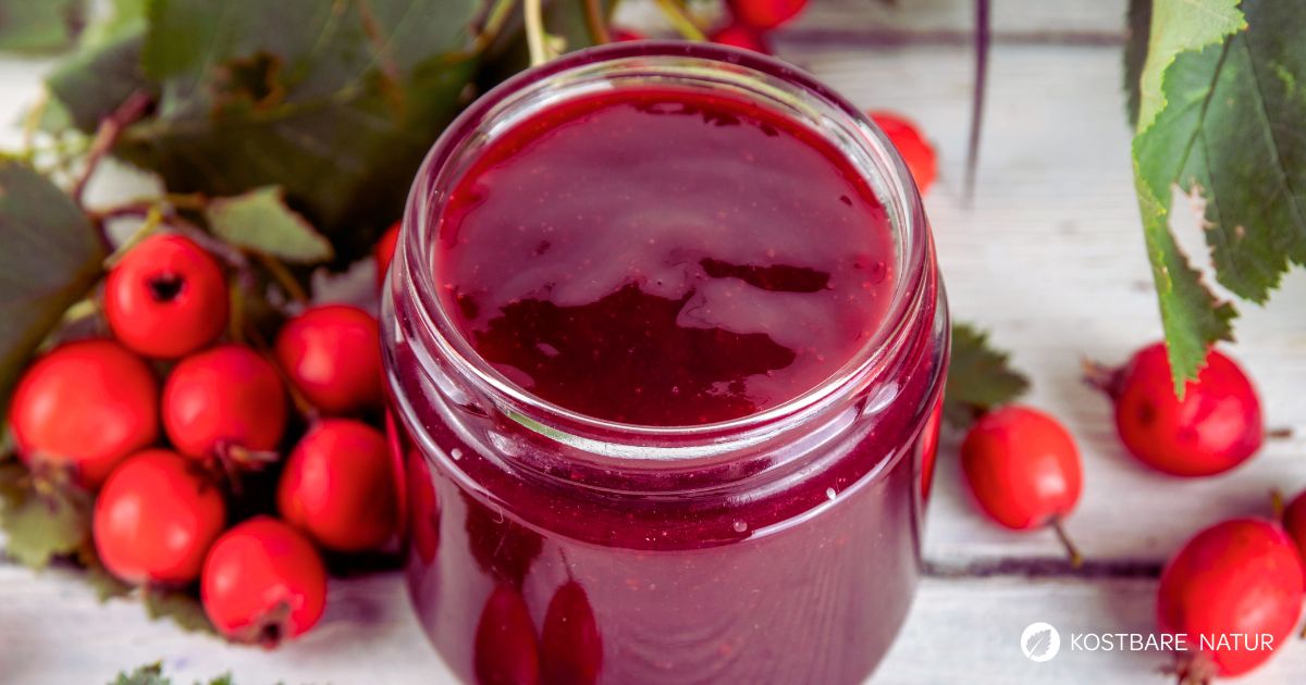 Selbstgemachte Weißdorn-Marmelade aus regionalen Beeren ist fruchtig, vitaminreich und lässt sich einfach konservieren für das ganze Jahr.