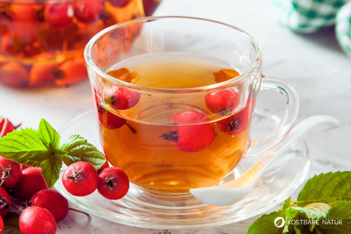Tee aus Weißdornbeeren