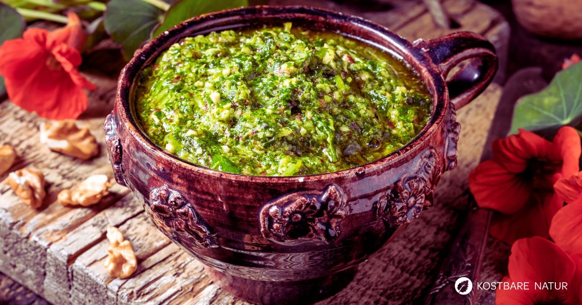 Mit einem Kapuzinerkresse-Pesto verwandelst du das gesunde Kraut blitzschnell in eine würzige Sauce - lecker auf Pasta, Brot und Co.