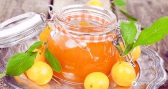 Aromatische Mirabellenmarmelade ganz einfach selbst gemacht – fruchtig, regional und vielseitig verwendbar für süße und herzhafte Gerichte.