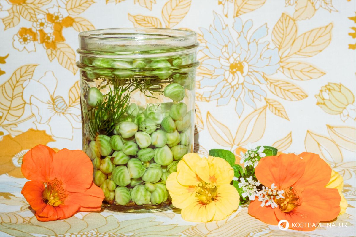 Rezept f&uuml;r Kapern aus Kapuzinerkresse