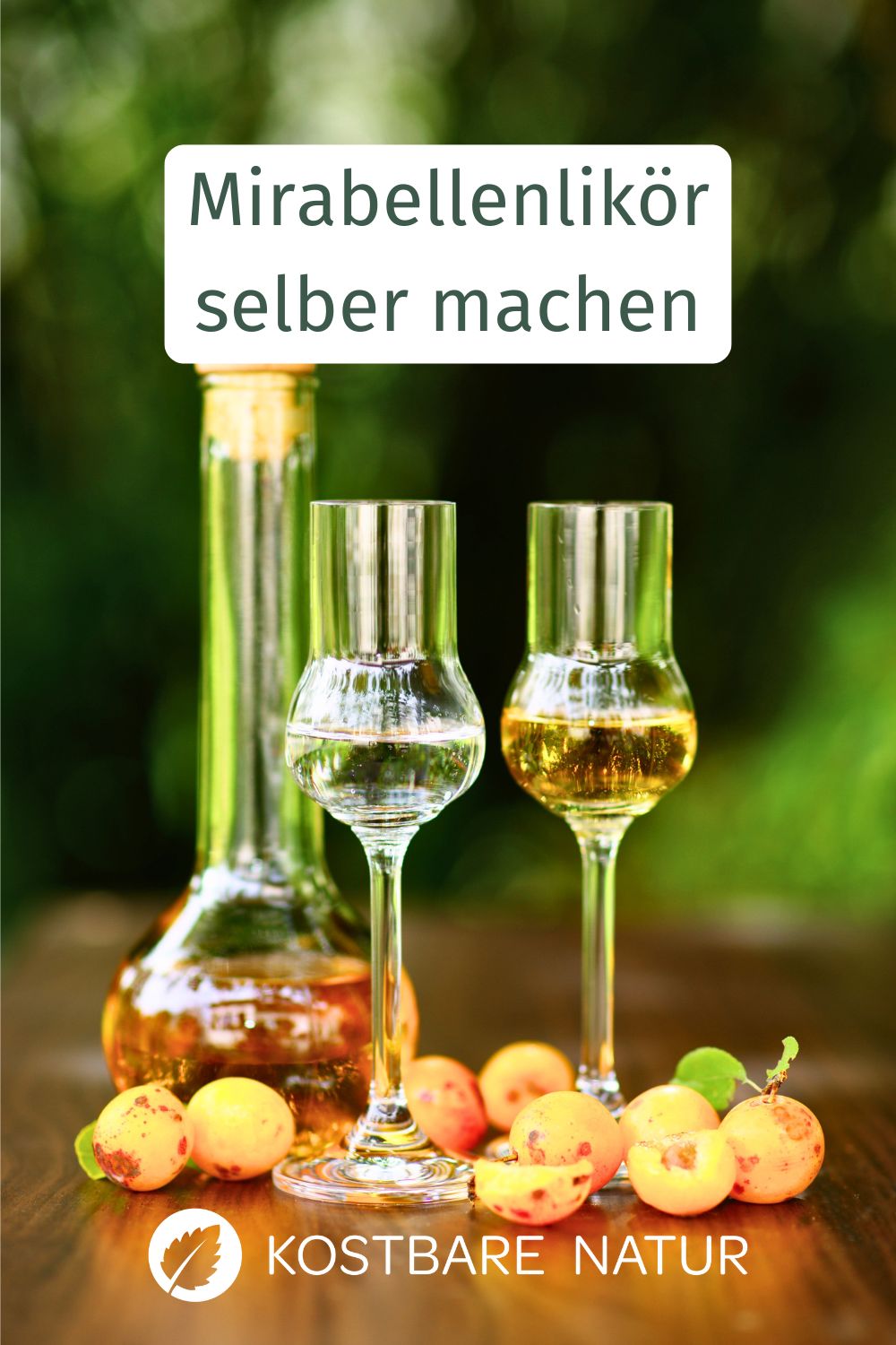 Mirabellenlikör verbindet regionales Obst mit sanfter Süße. Einfach gemacht, lange haltbar und vielseitig zu genießen als purer Likör oder im Dessert.