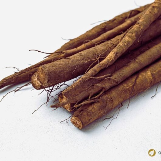 Große Klette – Wirkung, Anwendung und Rezepte