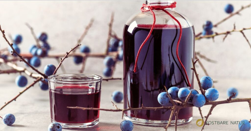 Schlehensaft aus regionalen Früchten selbst herstellen, gesund genießen und haltbar machen – pur, im Getränk oder für Desserts vielseitig einsetzbar.