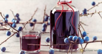 Schlehensaft aus regionalen Früchten selbst herstellen, gesund genießen und haltbar machen – pur, im Getränk oder für Desserts vielseitig einsetzbar.