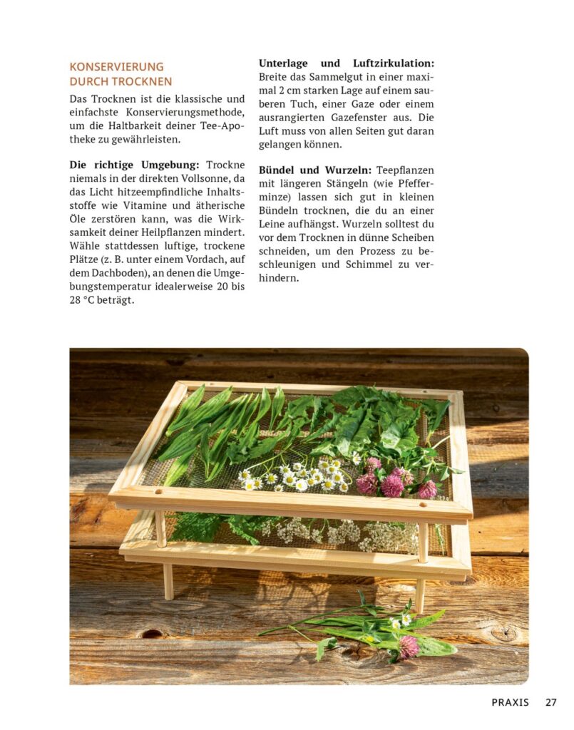 Die Tee-Apotheke Leseprobe