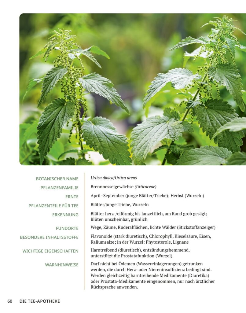 Die Tee-Apotheke Leseprobe