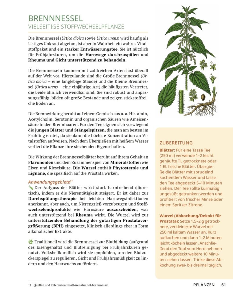 Die Tee-Apotheke Leseprobe