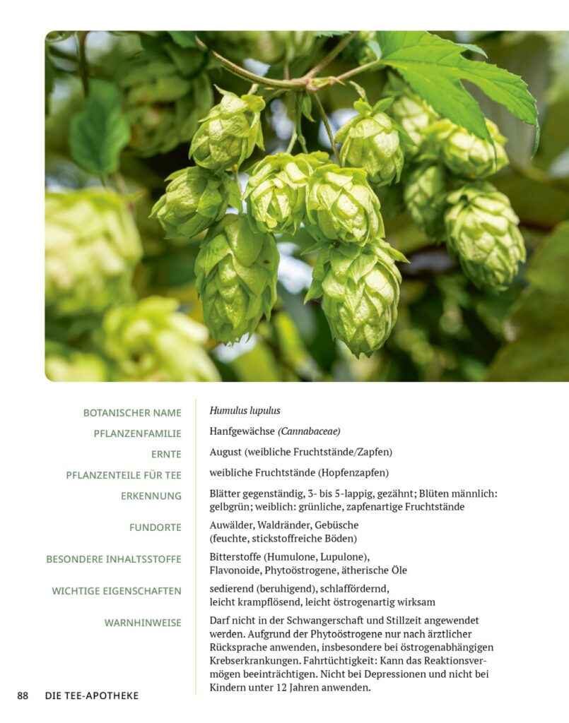 Die Tee-Apotheke Leseprobe