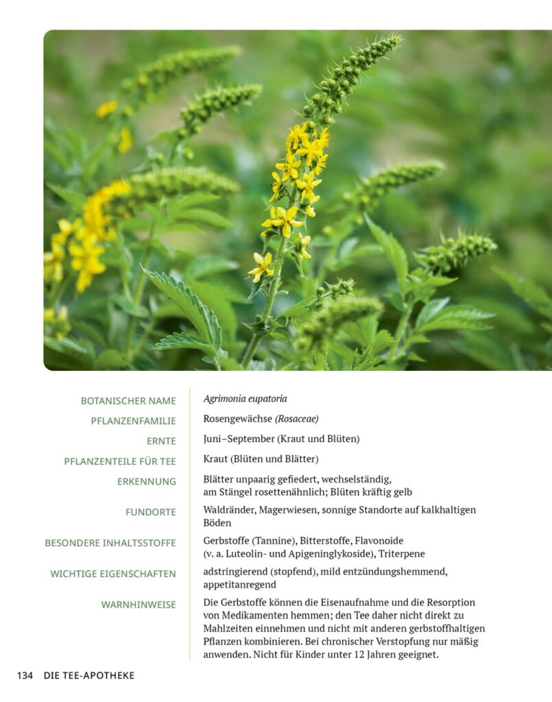 Die Tee-Apotheke Leseprobe