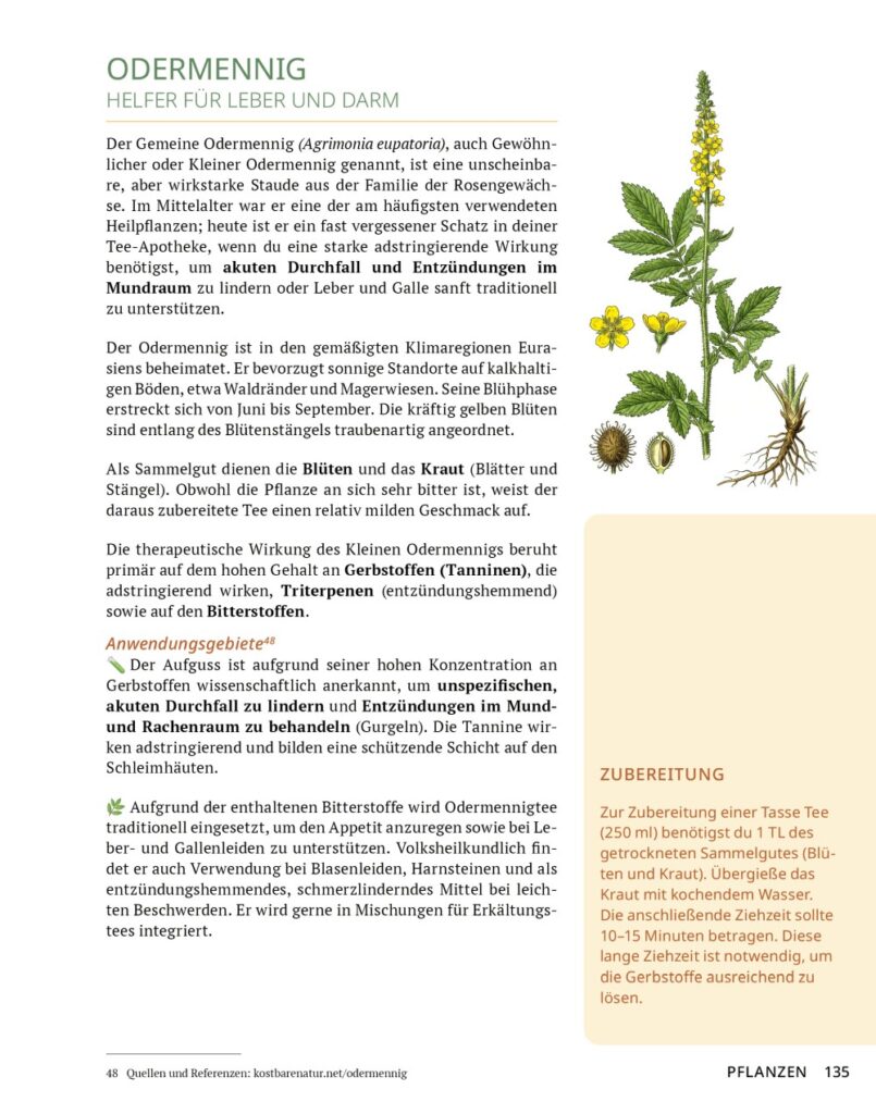 Die Tee-Apotheke Leseprobe