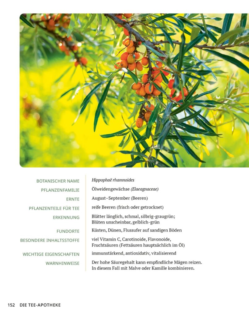 Die Tee-Apotheke Leseprobe