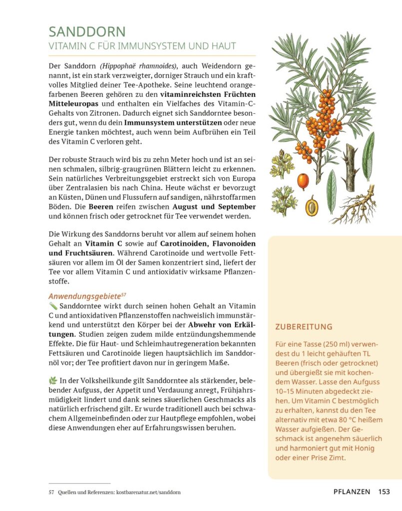 Die Tee-Apotheke LeseprobeDie Tee-Apotheke Leseprobe