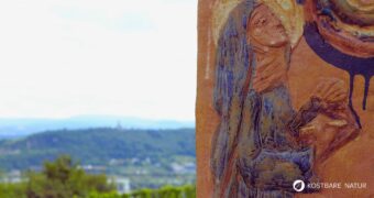 Hildegard von Bingen: Visionärin des Mittelalters. Entdecke ihr Heilwissen, ihre Werke und warum sie bis heute begeistert.