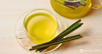 Heilpflanze & Küchenkraut mit zitronigem Duft – vielseitig einsetzbar für Gesundheit, Haut, Küche & Garten.