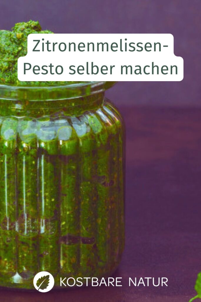 Zitronenmelissen-Pesto ganz einfach selber machen – süß, frisch und perfekt für Desserts. Erfahre hier das Rezept mit Tipps zur Verwendung.