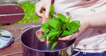 Zitronenmelissen-Sirup selber machen – mit nur wenigen Zutaten holst du dir das Sommeraroma ins Glas. Rezept mit Tipps.