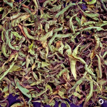 Zitronenverbene ist ein aromatischer Kräuterstrauch mit zitronigem Duft. Nutze sie in Tee, Küche, Kosmetik und Heilpflanzenanwendungen.