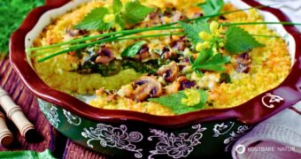 Goldnessel-Auflauf mit Pilzen – ein herzhaftes Wildkräuter-Rezept mit Hirse, Champignons und cremiger Käsekruste.
