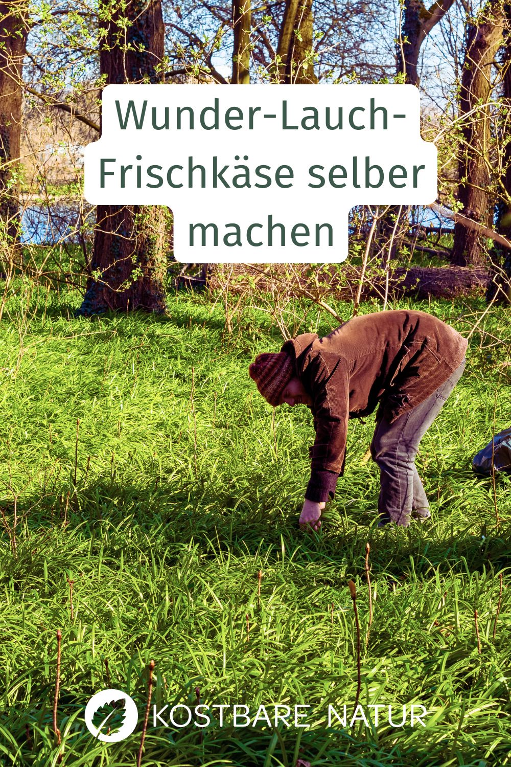 Wunder-Lauch-Frischkäse schnell und einfach selbst gemacht. Mildes Wildkräuterrezept für Brot und Kartoffeln. Ideal für den Alltag.
