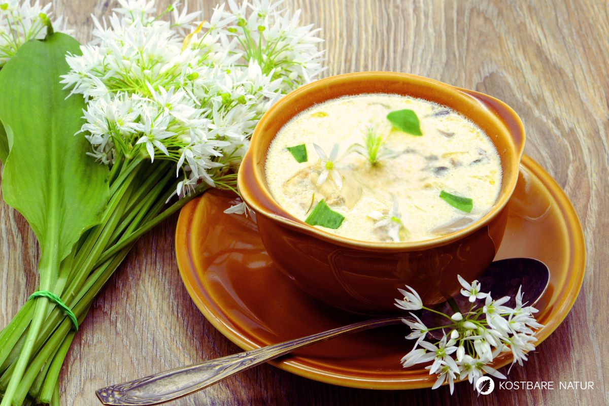 Bärlauchblüten essbar? Ja, absolut! Entdecke Tipps zur Ernte, Infos zur Giftigkeit und leckere Rezepte für die weiße Wildkräuter-Pracht.