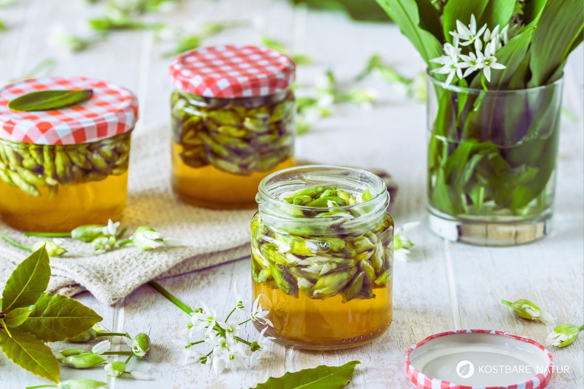Rezept f&uuml;r B&auml;rlauchkapern