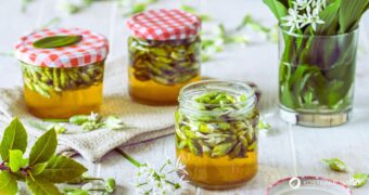 Bärlauchkapern einfach selber machen: Entdecke unser Rezept, um Bärlauchknospen einzulegen – die regionale Alternative zu echten Kapern!
